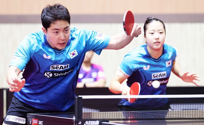 梅的关键因 梅的关键因